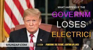 Blackout: Government in Chaos