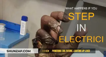 Shocking Truth: Stepping in Electricity Can Kill You