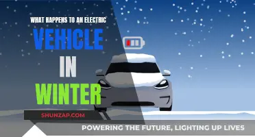 Winter's Chill: How Electric Vehicles Perform in Cold Weather