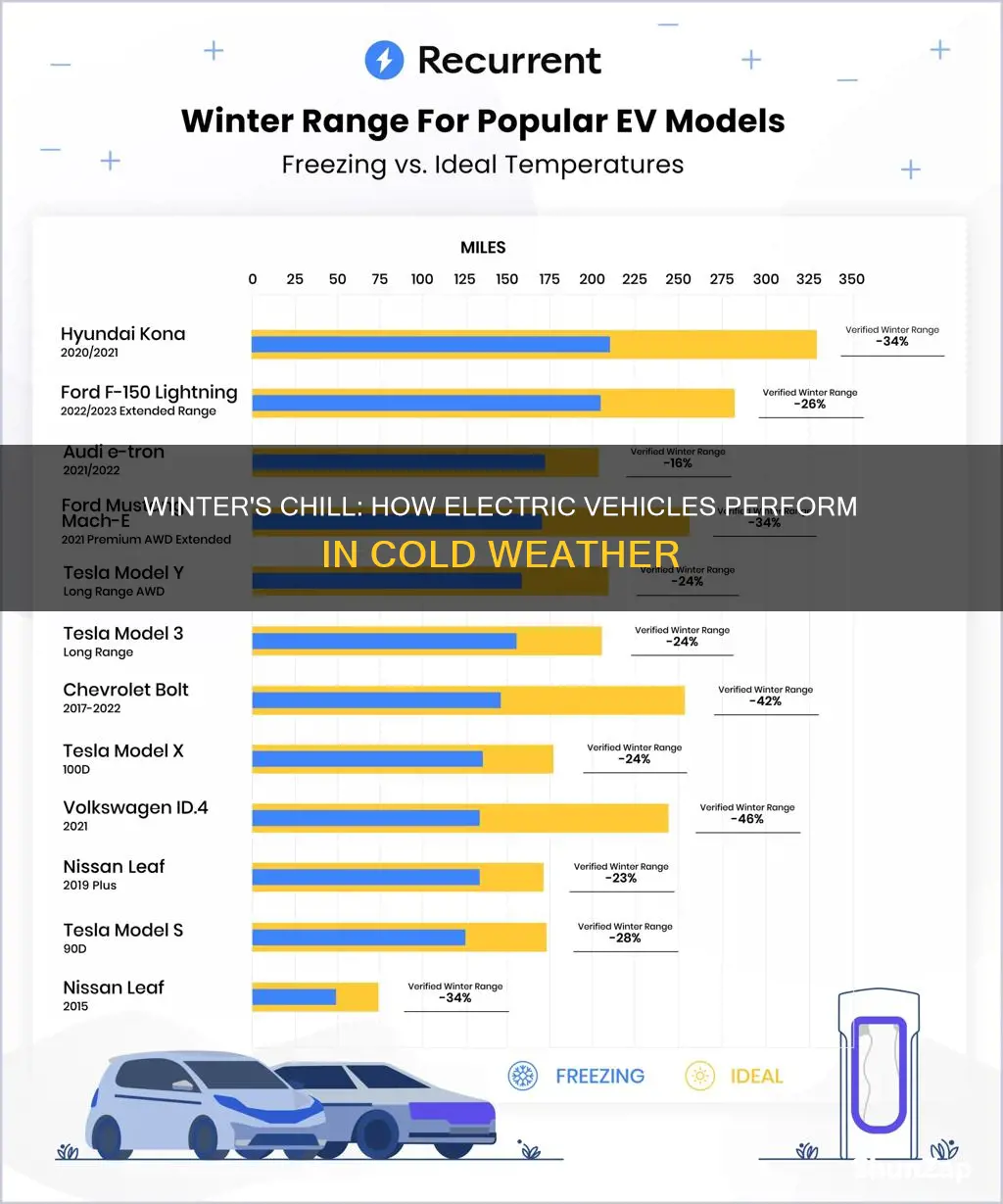 what happens to an electric vehicle in winter