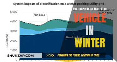 Winter Woes: Electric Vehicle Performance and Maintenance Tips