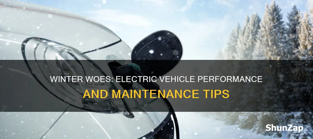 what happens to an electric vehicle in winter