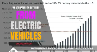 The Future of Electric Vehicle Batteries: Recycling and Reuse