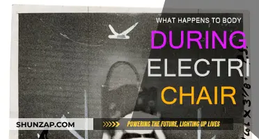 The Electric Chair: Body's Response to Voltage