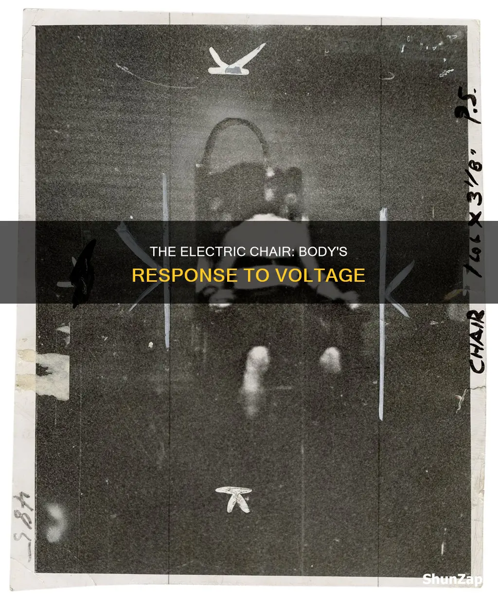 what happens to body during electric chair