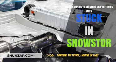 Snowstorm Survival: How Electric Car Batteries Fare in Extreme Cold