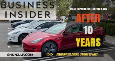Aging Electric Vehicles: Performance, Battery Life, and Resale Value After a Decade
