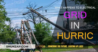 Hurricane Havoc: Electrical Grid Resilience