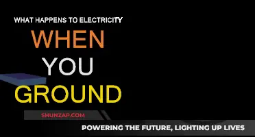 Grounding Electricity: Where Does the Current Go?