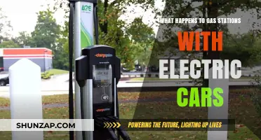Electric Cars Rise: How Gas Stations Adapt to Survive