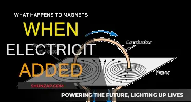 Magnets and Electricity: A Powerful Combination