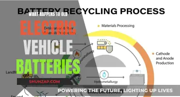 The Second Life of EV Batteries: Recycling and Reuse