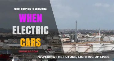 Electric Cars Rise: Venezuela's Oil-Dependent Economy Faces Uncertain Future