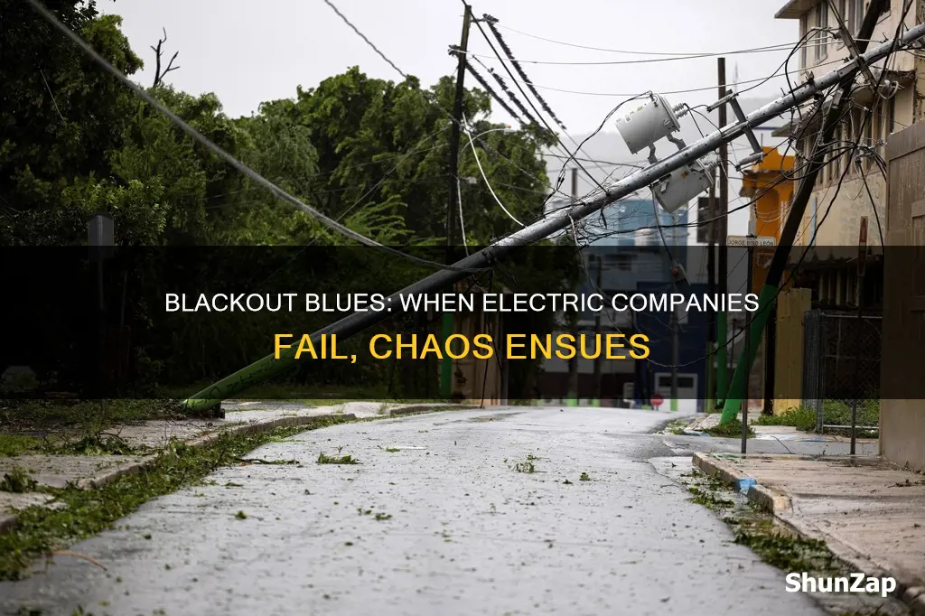 what happens when electric companies fail