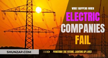 Electric Company Failures: Impact and Response