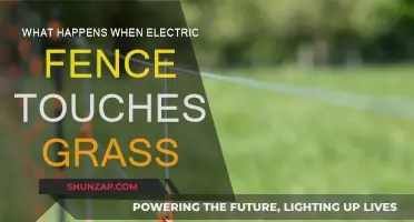 Electric Fence and Grass: Shocking Combination