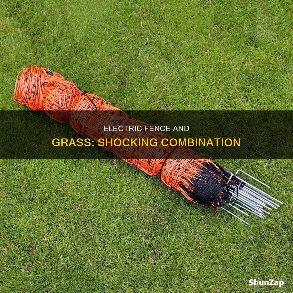 what happens when electric fence touches grass