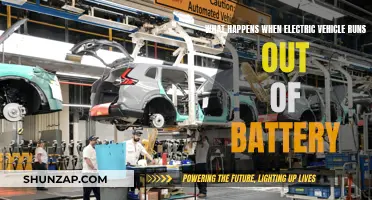 Electric Vehicle Battery Depletion: What's the Worst-Case Scenario?