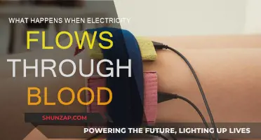 Electricity in Blood: Powering the Human Body