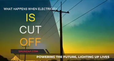 Blackout: Impact and Response to Power Outages