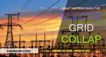 The Electric Grid Collapse: Impact and Aftermath