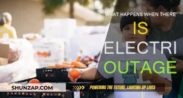 Blackouts: Impact and Response