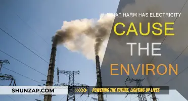 Electricity's Environmental Impact: Harming Nature's Delicate Balance