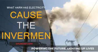 Electricity's Environmental Impact: A Harmful Relationship