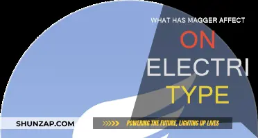 Electric Type Effectiveness: What Factors Matter Most?