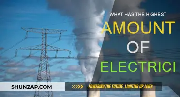 Electricity Magnitude: What Holds the Highest Charge?