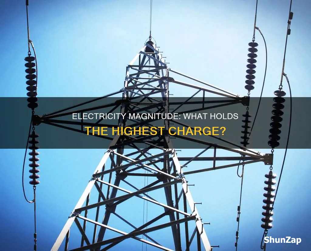 what has the highest amount of electricity