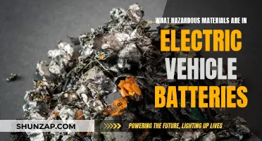 Unveiling the Hazards: Inside Electric Vehicle Batteries