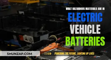 Hazardous Materials in Electric Vehicle Batteries: What's the Risk?