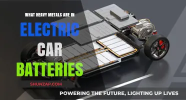 Heavy Metals in Electric Car Batteries: Composition and Environmental Impact