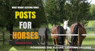 Electric Fence Posts: Optimal Height for Horses