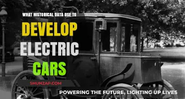 Historical Data's Role in Shaping the Evolution of Electric Vehicles
