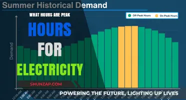 Understanding Peak Hours for Electricity Usage