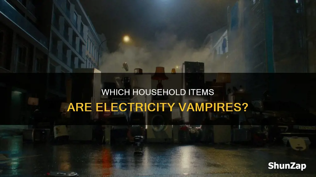 what household items waste the most electricity