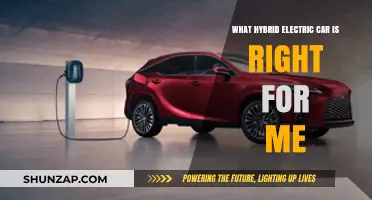 Choosing the Perfect Hybrid Electric Car: A Personalized Guide