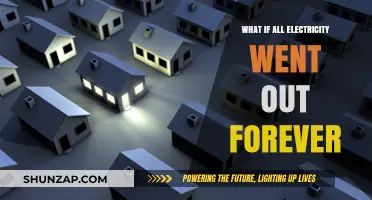 The World Without Electricity: An Apocalyptic Scenario