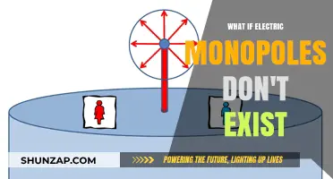 The Absence of Electric Monopoles: A World Without Them