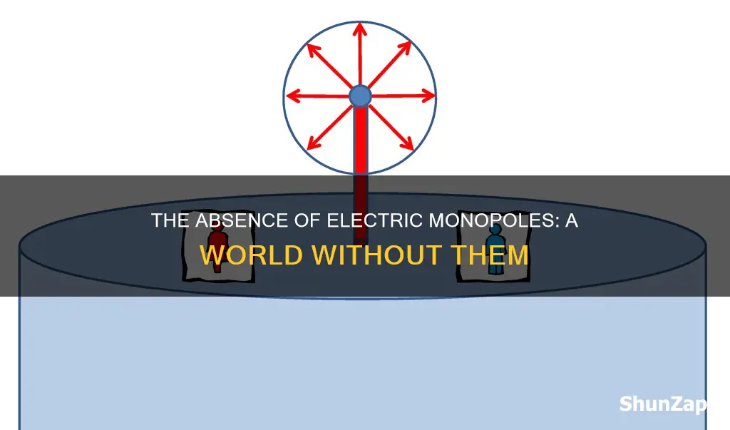 what if electric monopoles don