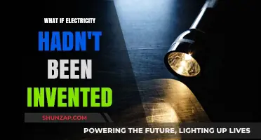 Life Without Electricity: An Alternate Reality