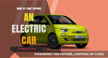 Affordable Electric Vehicles: Overcoming Budget Barriers to Go Green