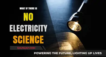 A World Without Electricity: Science's Dark Ages