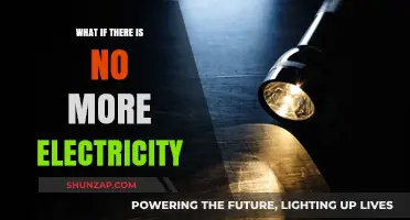 The World Without Electricity: A Dark Future