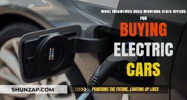 Montana's Electric Car Incentives: Savings and Benefits for Green Drivers