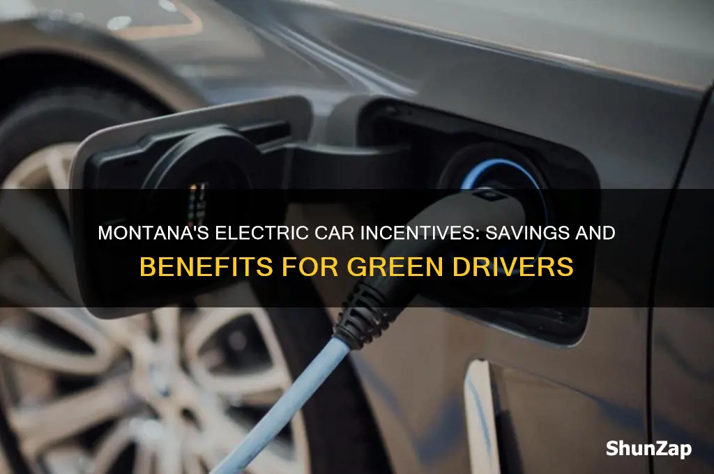 what incentives does montana state offers for buying electric cars