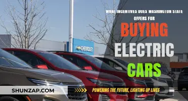 Washington State's Electric Car Incentives: Savings and Benefits Explained