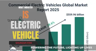 Electric Vehicles: Powering the Future of the Auto Industry